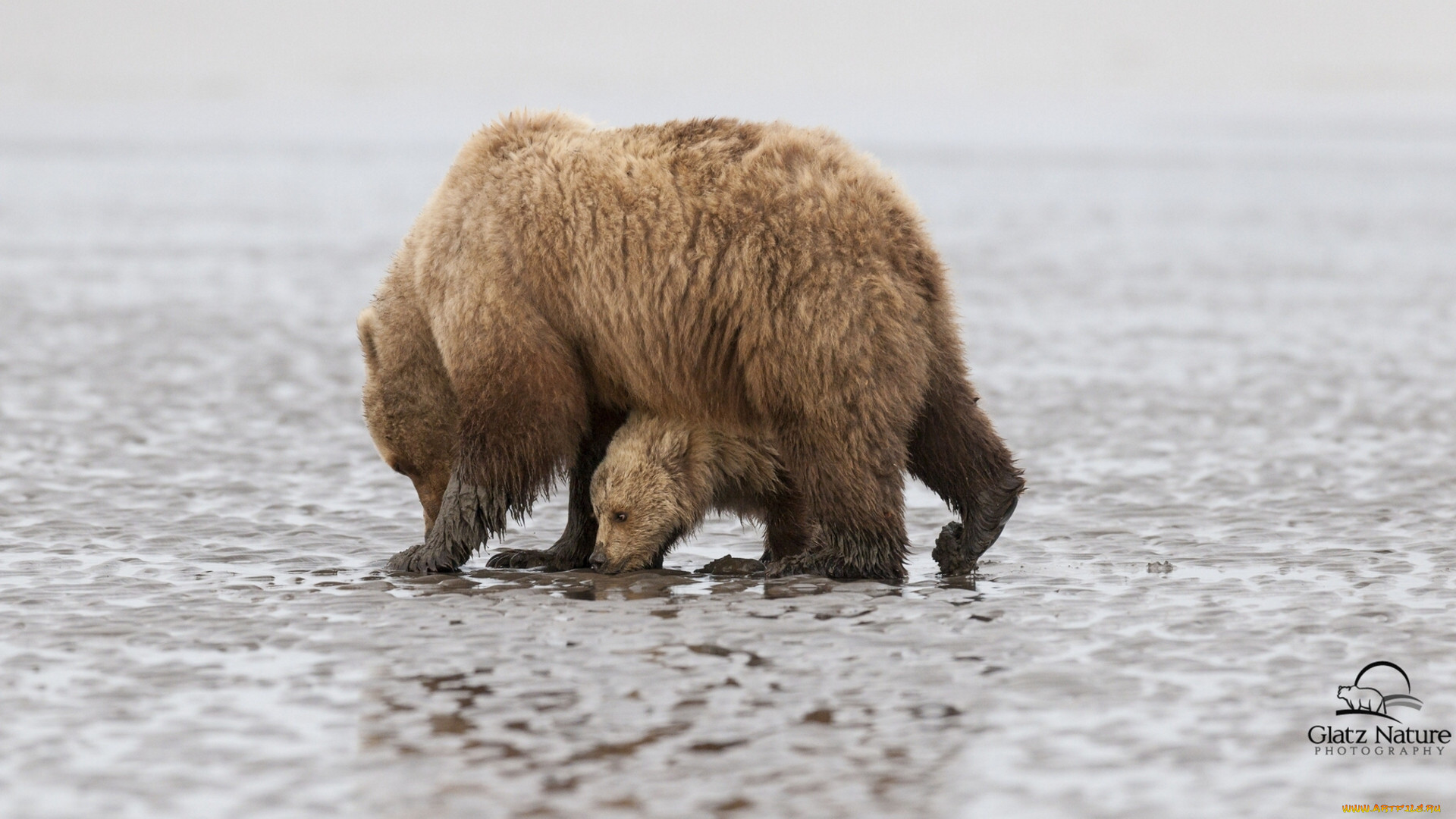 lake clark national park,  alaska, , , , , , , lake, clark, national, park, alaska